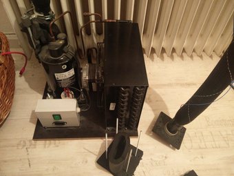 asdf